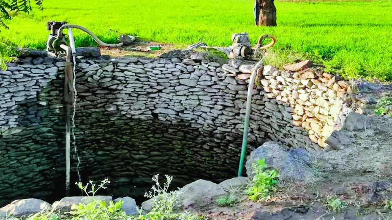 પ્રતીકાત્મક તસવીર